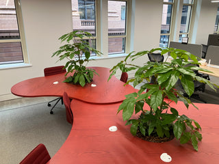 Project: Cloud Tables