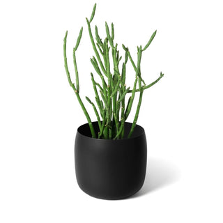 110 Planter Black