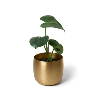 110 Planter Brass