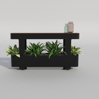 Plant stand with green plants on a gray background