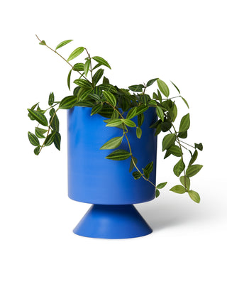 Palm Springs Planter Small