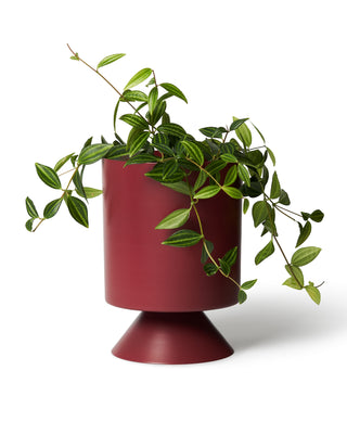 Palm Springs Planter Small