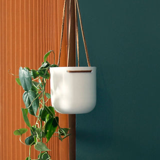 Hanging Planter - Medium