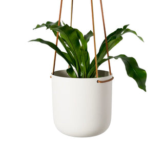 Hanging Planter - Medium