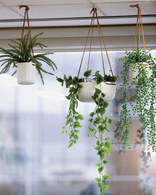 Hanging Planter - Medium