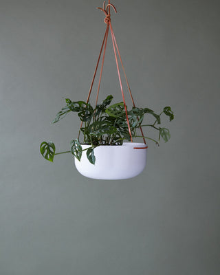 Hanging Planter - Large