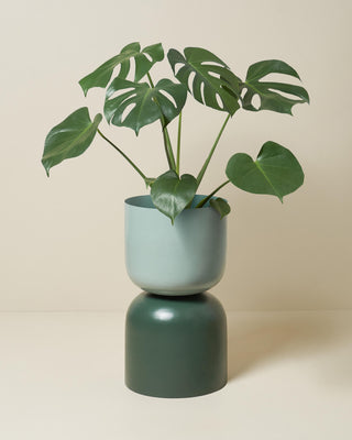 Two Tone Planter