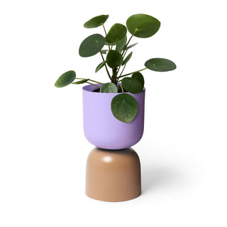 Lilac/Sorel planter