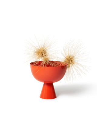 Sunset vase with a stand holding decorative plants on a white background