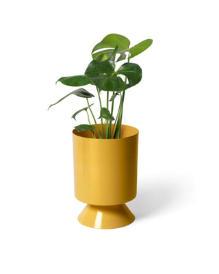 palm springs planter Palm Springs Small Planter for Stylish Home Decor