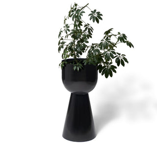 Vera Planter