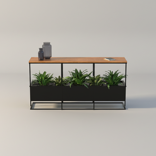 Modern black metal shelf with plants on a white background