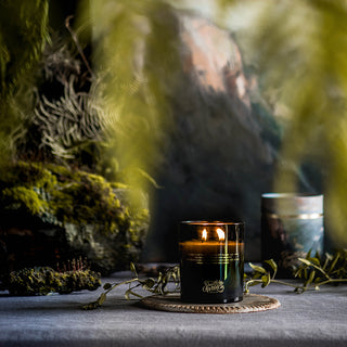 Candle - Hidden Vale